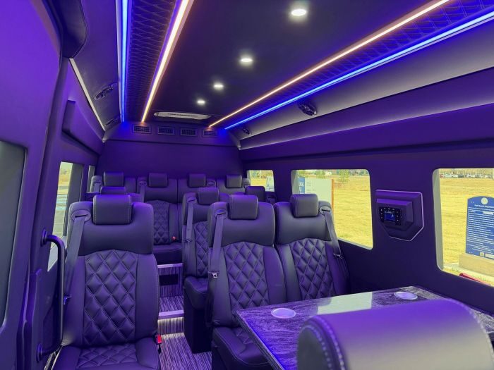Executive Sprinter seating – Pueblo party bus rental