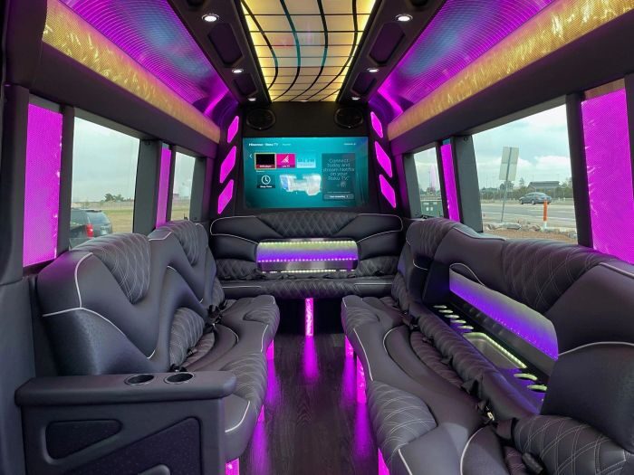 Sprinter limo lounge with TV – Pueblo party bus rental