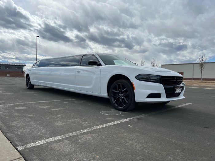 White stretch limo – Pueblo party bus rental